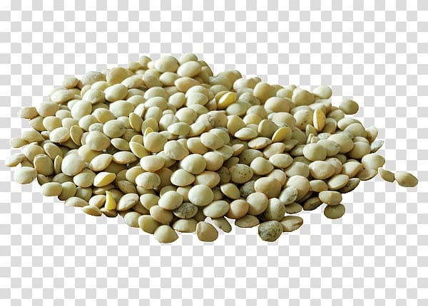 Lentil Vegetarian cuisine Common Bean Mung bean, green beans transparent background PNG clipart