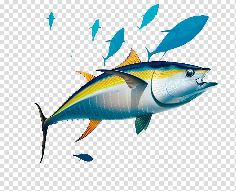 Yellowfin tuna Albacore Illustration, Seabed fish transparent background PNG clipart