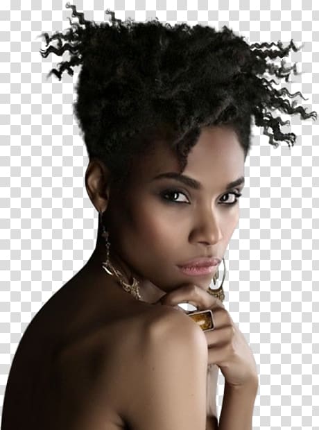 Afro Hair coloring Brown hair, others transparent background PNG clipart