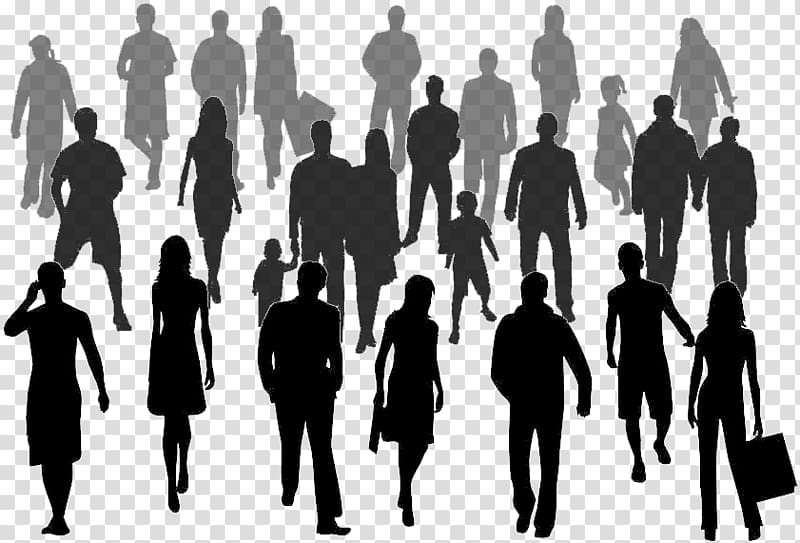 Organizational Behavior in Health Care Social group, others transparent background PNG clipart