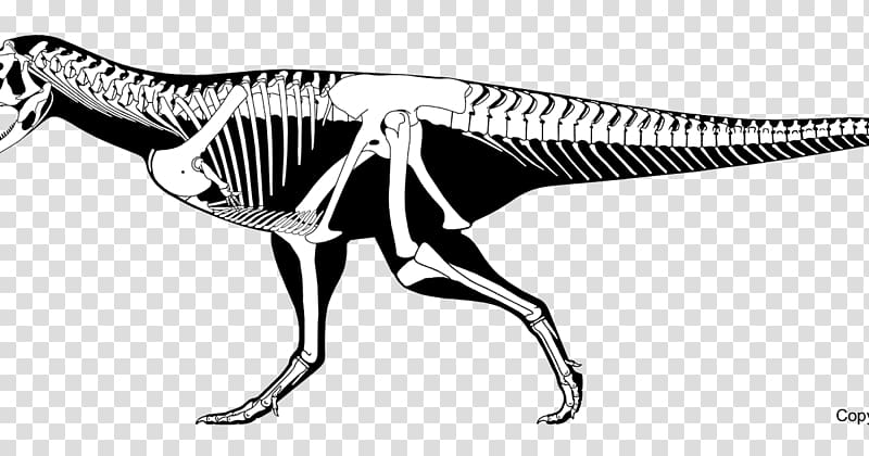 Carnotaurus Aucasaurus Abelisaurus Skorpiovenator Irritator, dinosaur transparent background PNG clipart