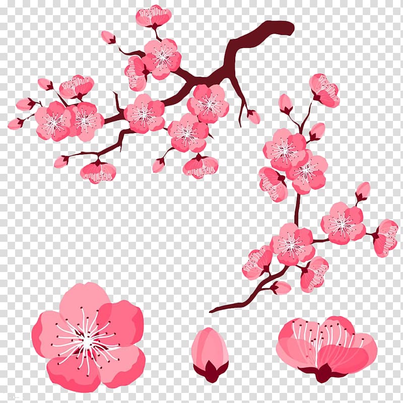 Cherry blossom Adobe Illustrator , Pink cartoon cute peach transparent background PNG clipart