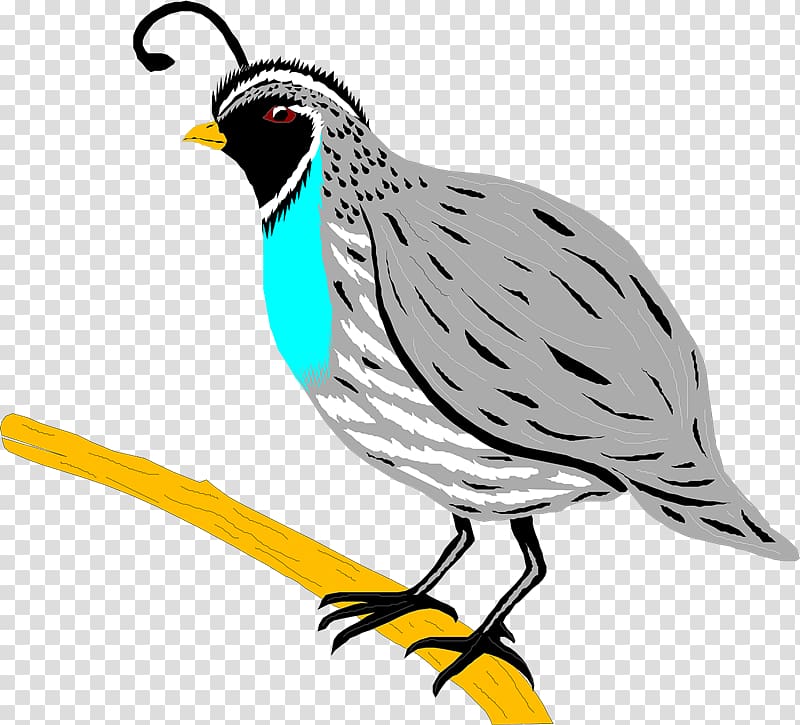 Quail Bird Partridge , Quail transparent background PNG clipart