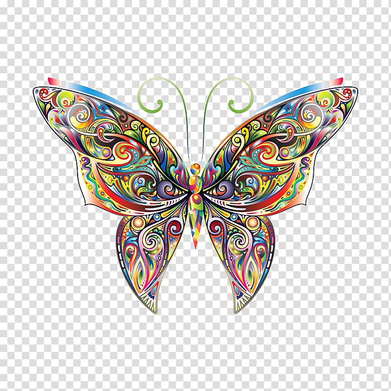 red and multicolored butterfly illustration, Butterfly Coloring book Decal Illustration, Colorful butterfly transparent background PNG clipart