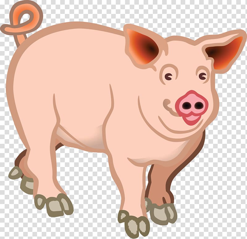 Domestic pig , piglet transparent background PNG clipart