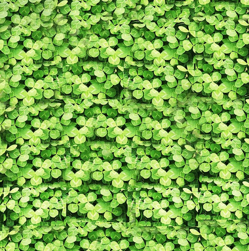 Plant Euclidean Green Icon, Clover basemap transparent background PNG clipart