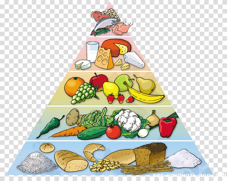 Food pyramid Healthy diet Eating Nutrition, health transparent background PNG clipart