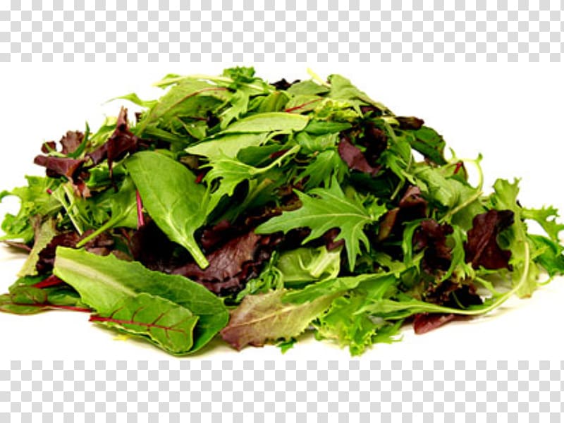 Mesclun Organic food Poke Bean salad Chicken salad, salad transparent background PNG clipart