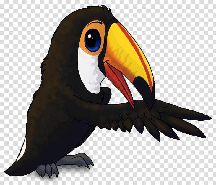 Bird Toco toucan Drawing Animation, toucan transparent background PNG clipart