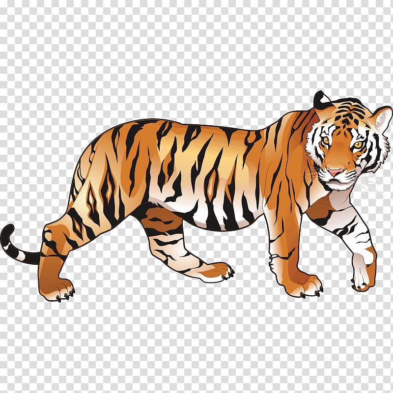 Riding the Tiger: How To Execute Business Strategy In India Bengal tiger Management, India transparent background PNG clipart
