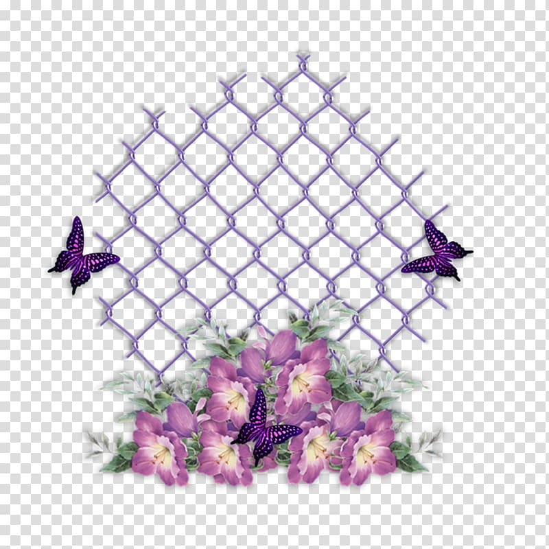 Australia Zoo Petal Floral design Pattern, violet rose transparent background PNG clipart