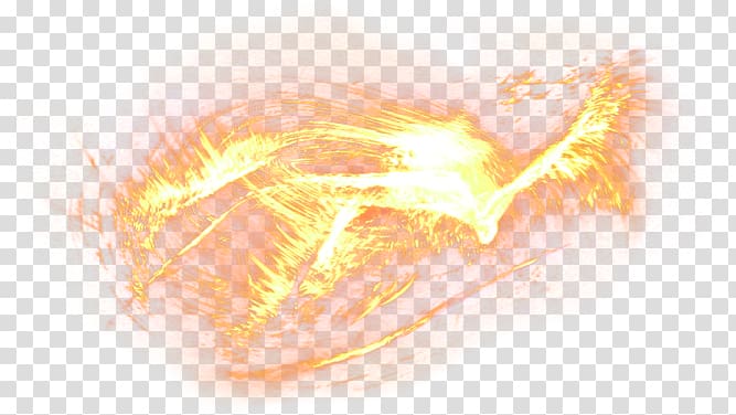 Organism , Creative Fire transparent background PNG clipart