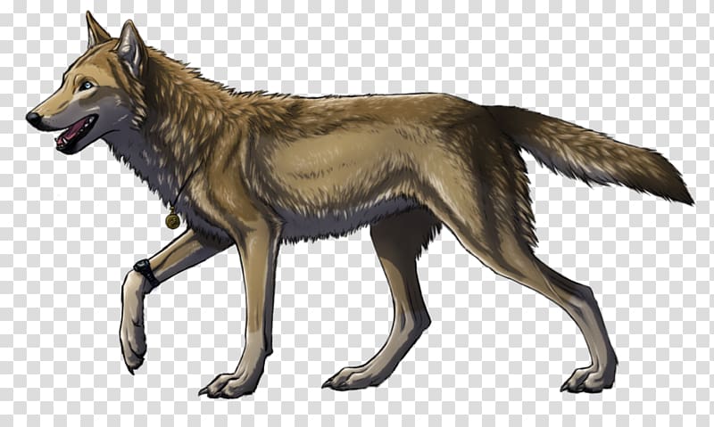 Kunming wolfdog Saarloos wolfdog Czechoslovakian Wolfdog Gray wolf Coyote, puppy transparent background PNG clipart