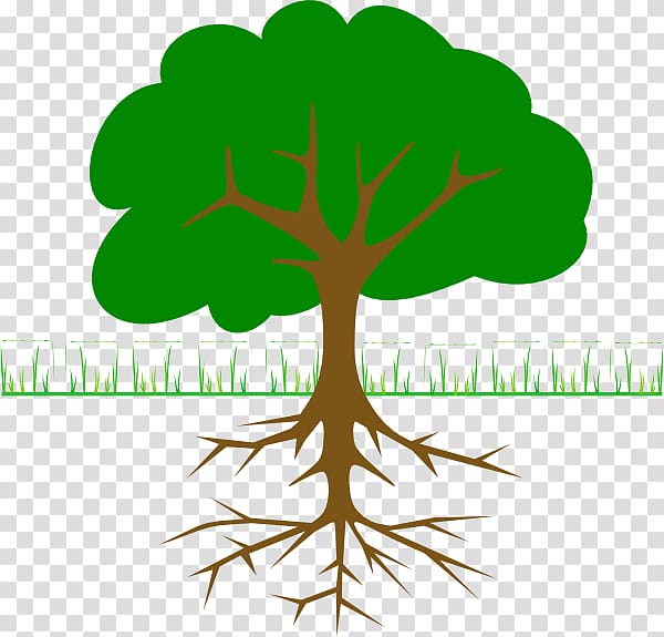 The Great Kapok Tree , arbor day transparent background PNG clipart