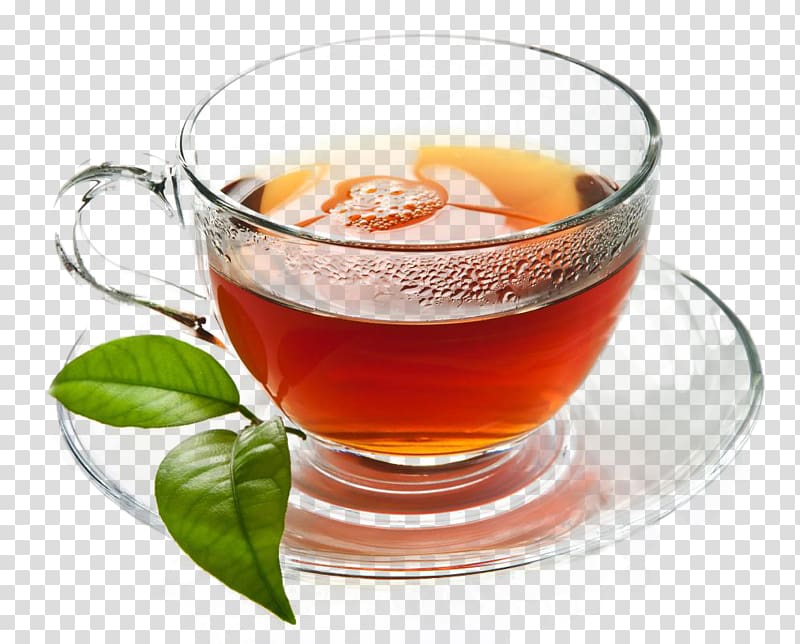 Maghrebi mint tea Beer Green tea Mint julep, tea transparent background PNG clipart