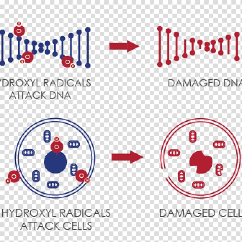 Hydroxyl radical Hydrogen Hydroxy group Molecule, others transparent background PNG clipart