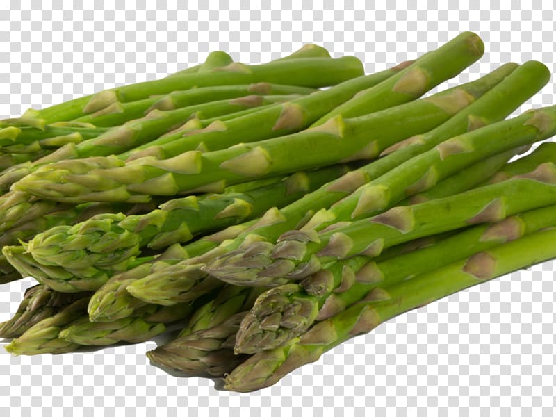 Vegetarian cuisine Celtuce Vegetable Portable Network Graphics Asparagus, vegetable transparent background PNG clipart