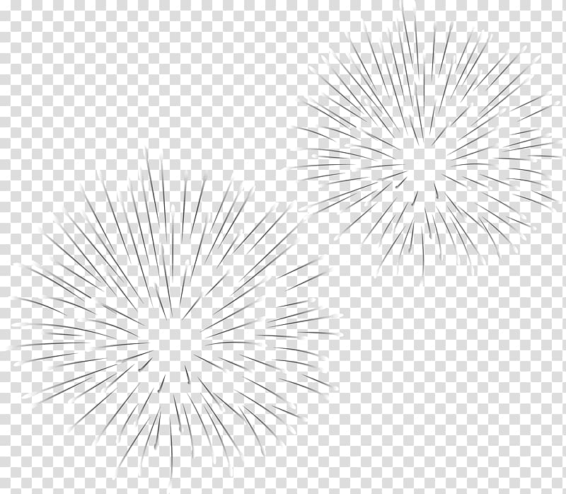 White Black Pattern, Fireworks transparent background PNG clipart