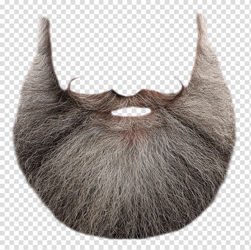 men's beard illustration, Santa Claus Beard, Beard transparent background PNG clipart
