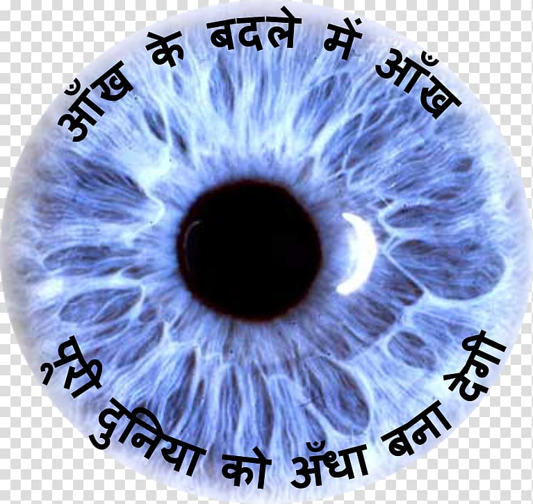 Iris Human eye Visual perception Color, Eye transparent background PNG clipart
