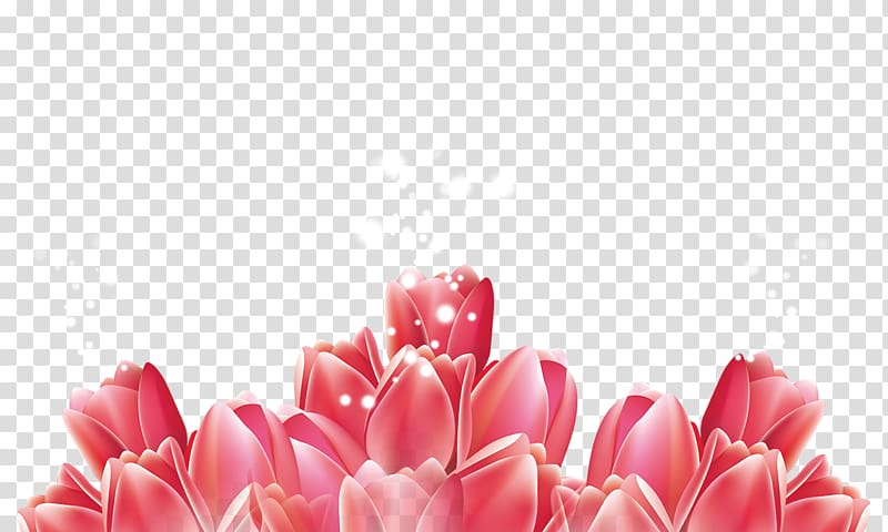 Red Flower Tulip, tulip transparent background PNG clipart