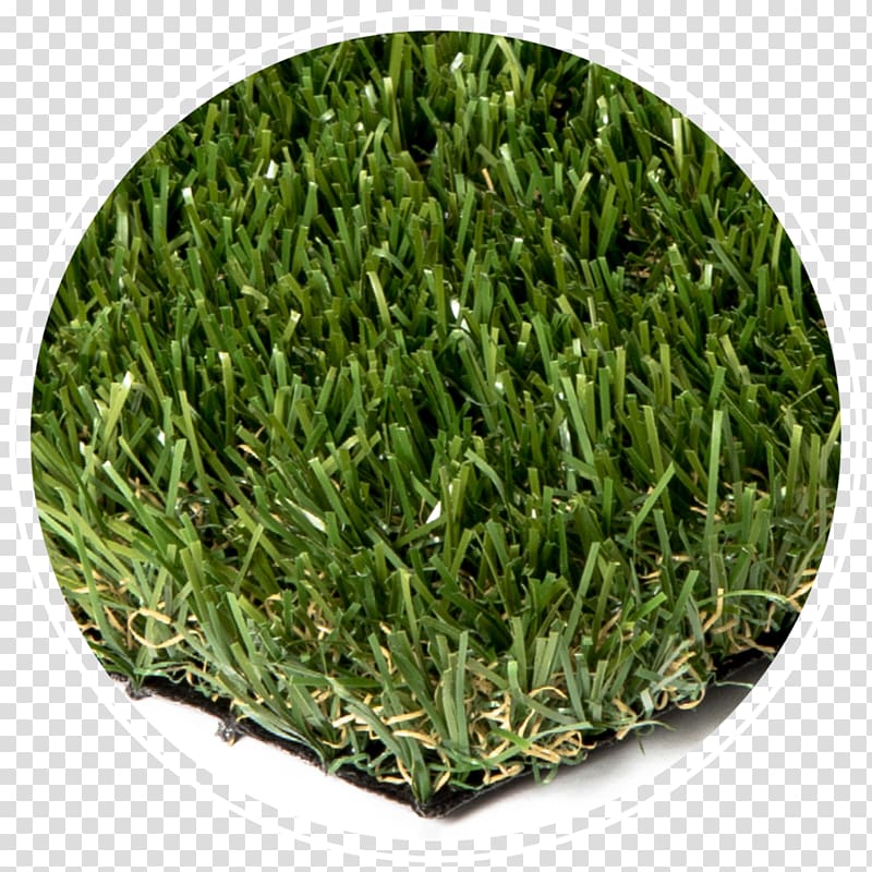 Artificial turf Lawn Tile Natural rubber Brick, turf transparent background PNG clipart