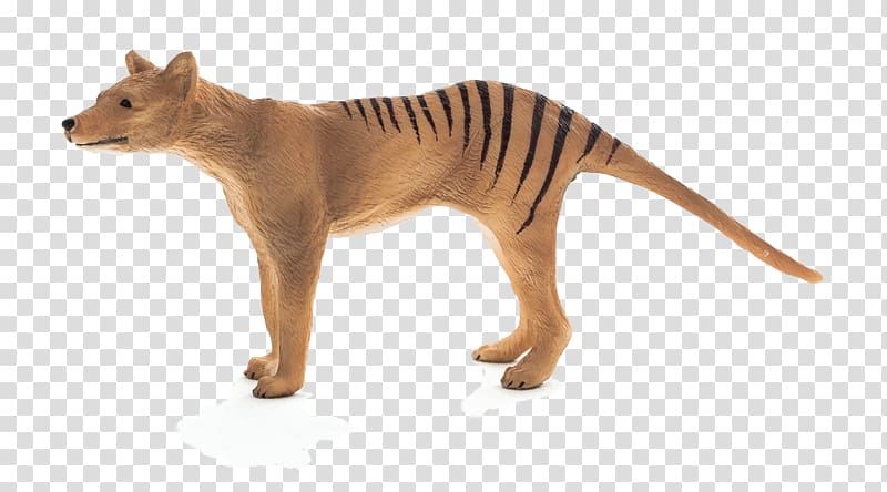 Tiger Thylacine Stuffed Animals & Cuddly Toys Hobart Zoo Plush, tiger transparent background PNG clipart
