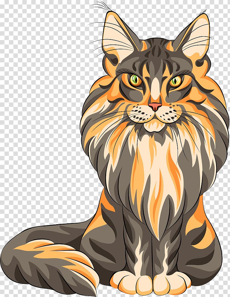 Maine Coon Persian cat Bombay cat Raccoon, Piercing cat transparent background PNG clipart