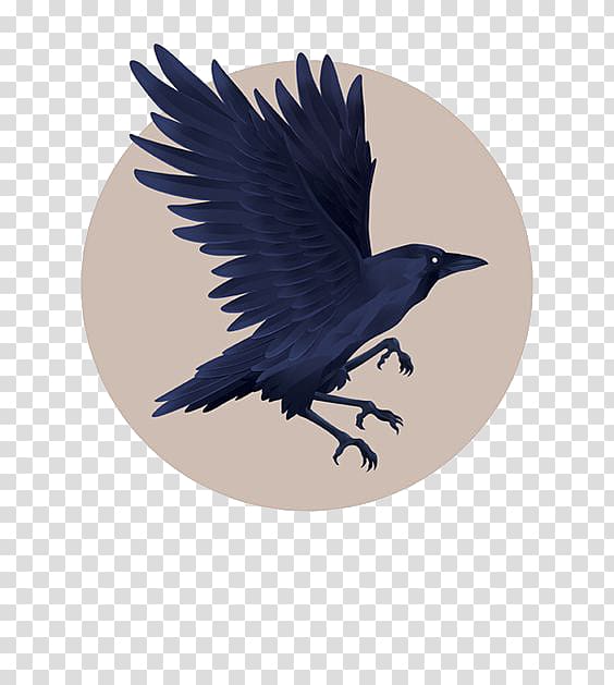 Graphic design Little crow Illustration, Blue crow transparent background PNG clipart