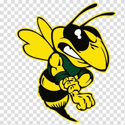 Georgia Institute of Technology Hornet Yellowjacket Bee, multimedia production transparent background PNG clipart