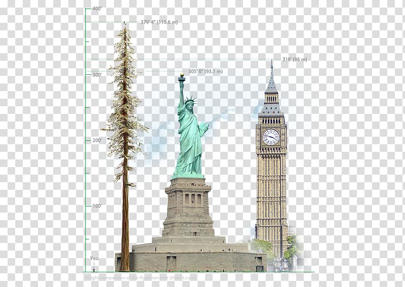 Statue of Liberty Big Ben Redwood National and State Parks Humboldt Redwoods State Park Hyperion, statue of liberty transparent background PNG clipart