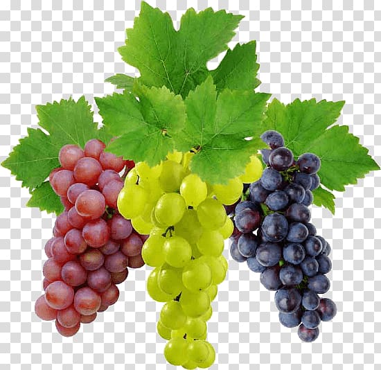 red, green, and purple grapes, Wine Grape Fruit Food, Grape transparent background PNG clipart