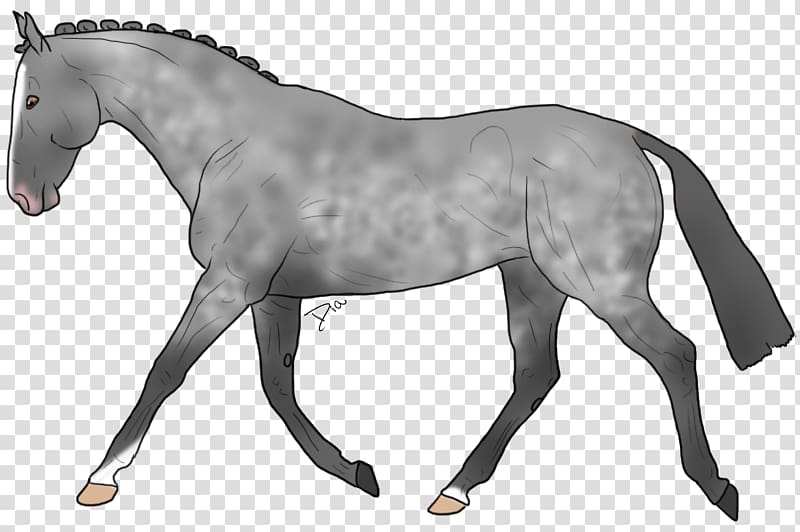 Stallion Warmblood Pony Mane Mustang, mustang transparent background PNG clipart