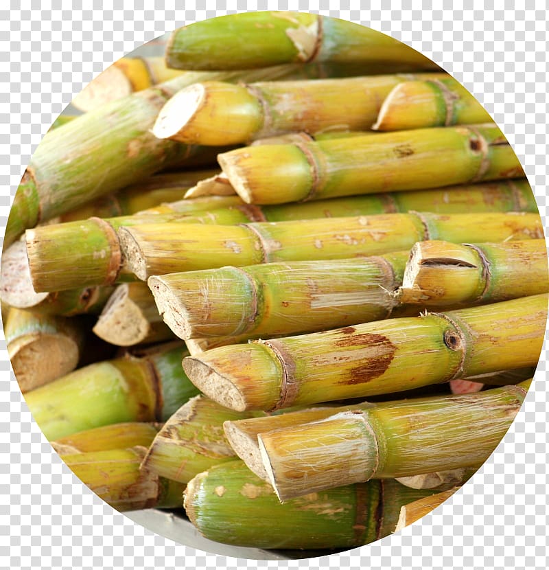 Sugarcane juice Saccharum officinarum , sugar transparent background PNG clipart