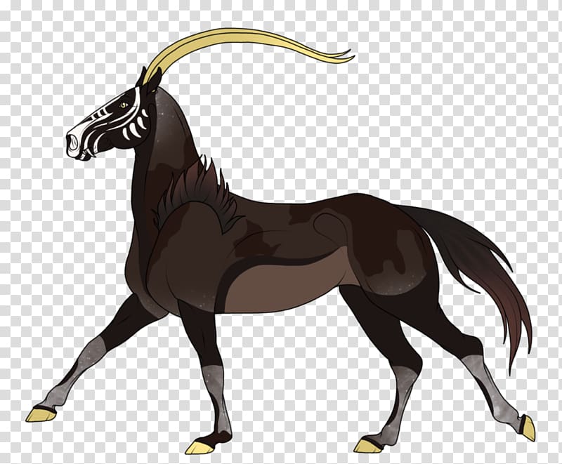 Mustang Foal Stallion Mare Colt, mustang transparent background PNG clipart