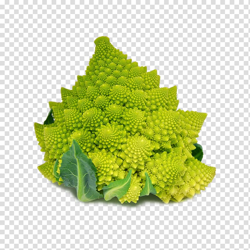 Romanesco broccoli Cauliflower Red cabbage Broccoflower, broccoli transparent background PNG clipart