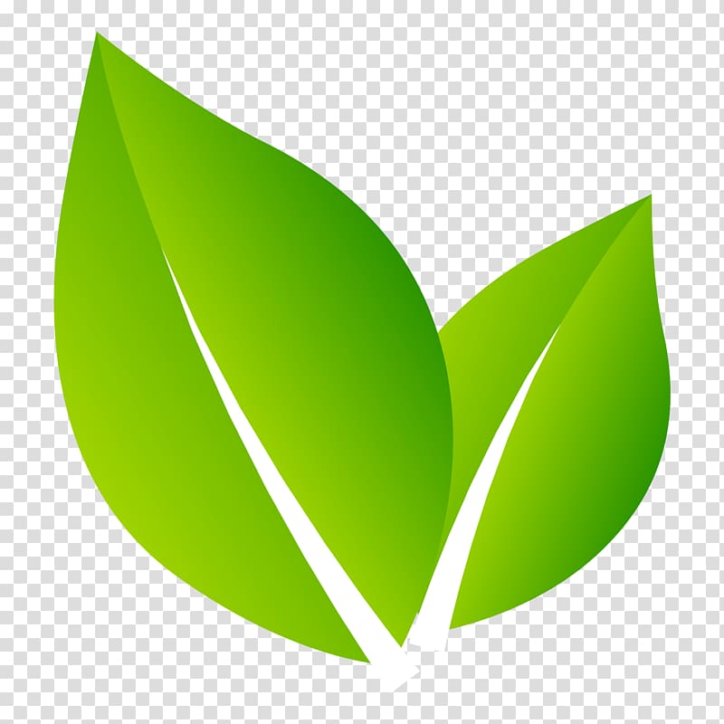 Logo Nature Leaf, design transparent background PNG clipart