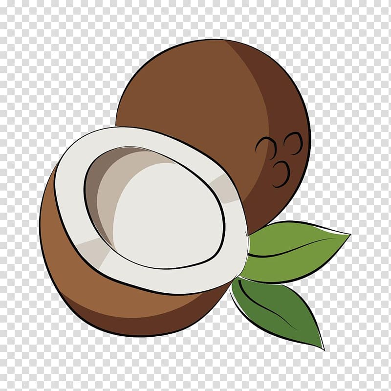 Coconut Auglis Icon, Cut coconut transparent background PNG clipart