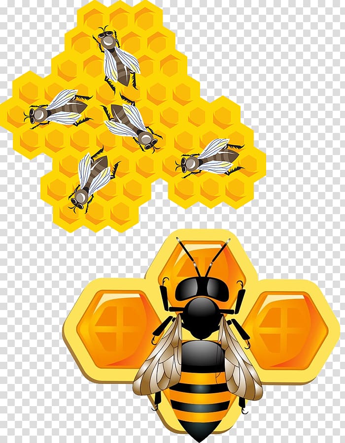 Bee Insect Honeycomb , 3D bees transparent background PNG clipart