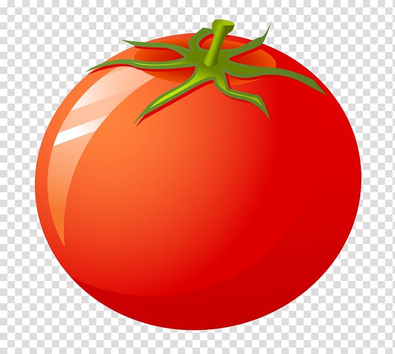 Cherry tomato Bush tomato Food, tomato transparent background PNG clipart