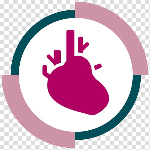 Heart Cardiology Organ Cardiac surgery, Cardiology Icon transparent background PNG clipart