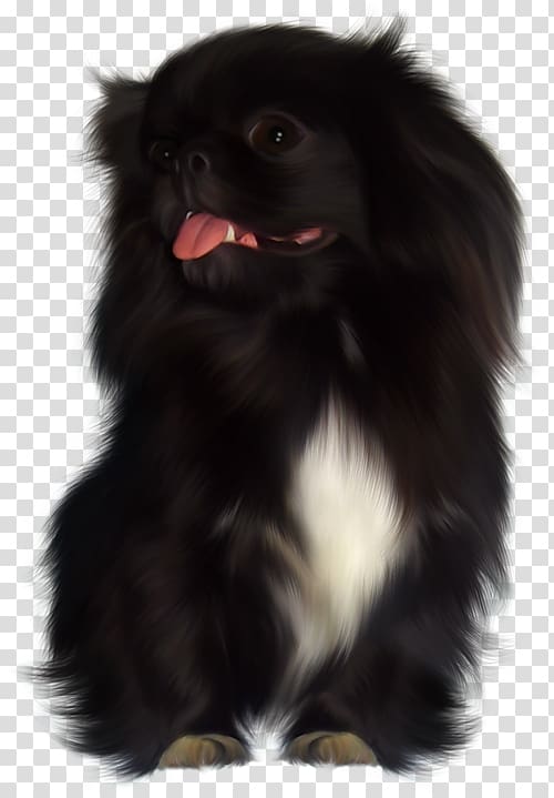 Dog breed Japanese Chin Chinese Imperial Dog Tibetan Spaniel Puppy, puppy transparent background PNG clipart