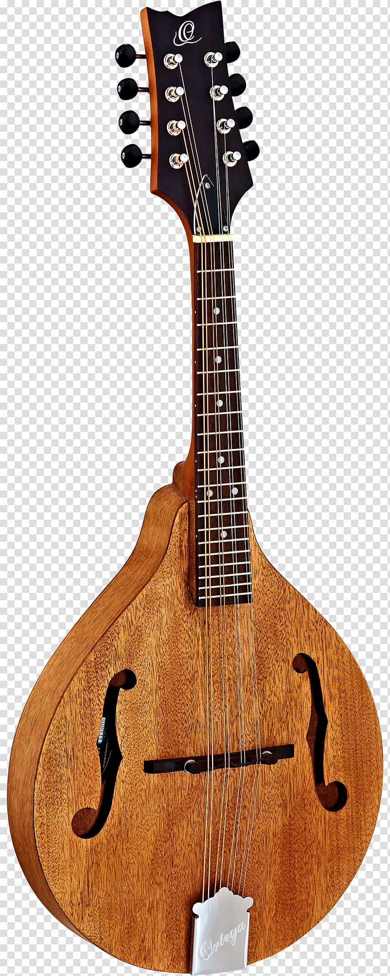 Taylor Guitars Steel-string acoustic guitar Acoustic-electric guitar, amancio ortega transparent background PNG clipart