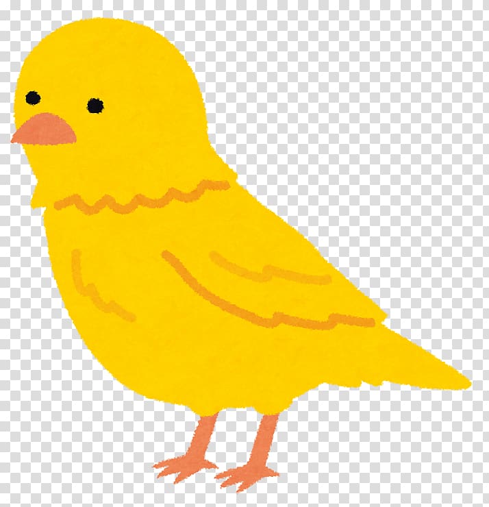 Atlantic canary いらすとや , others transparent background PNG clipart