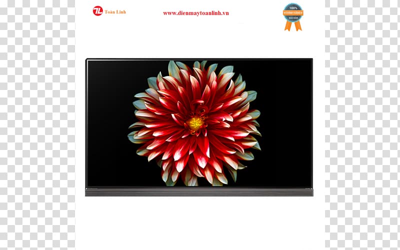 LG Electronics OLED 4K resolution Television, lg transparent background PNG clipart