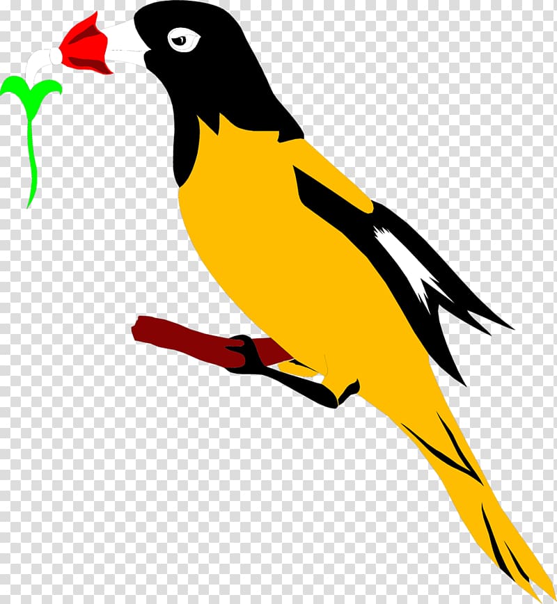 Bird Baltimore Orioles Eurasian golden oriole , bird transparent background PNG clipart