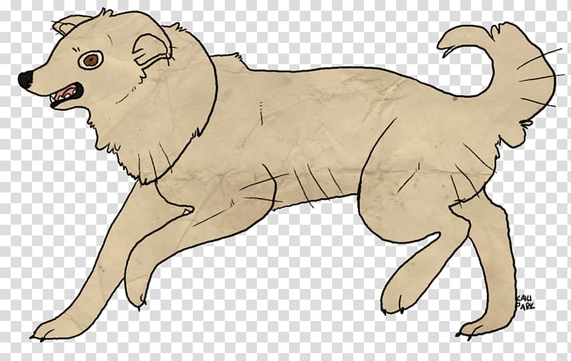 Lion Dog Cat Terrestrial animal , lion transparent background PNG clipart