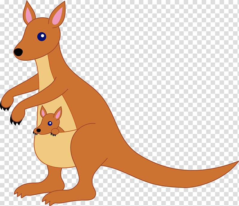 Kangaroo Free content , Kangaroo illustration transparent background PNG clipart