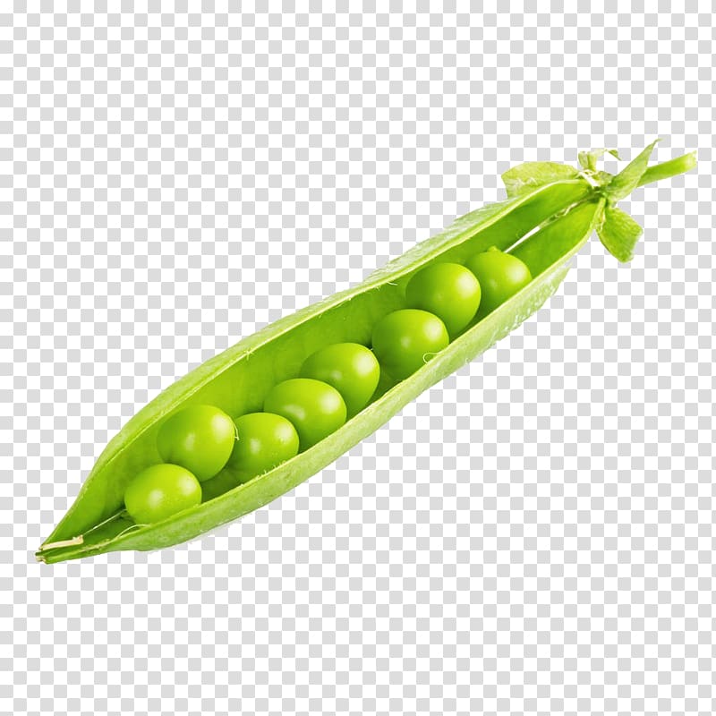 green pea pod, Pea Edamame Bean, He opened the shell peas transparent background PNG clipart