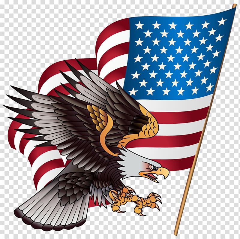 flag of United States and American Eagle , United States T-shirt American Eagle Outfitters Clothing Jersey, American Eagle transparent background PNG clipart
